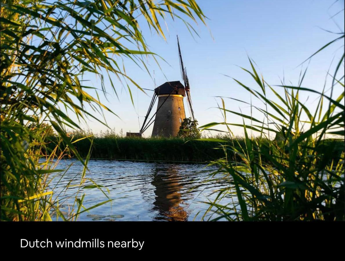 Tiny House With Sauna & Jacuzzi Near Amsterdam Vijfhuizen Exterior photo